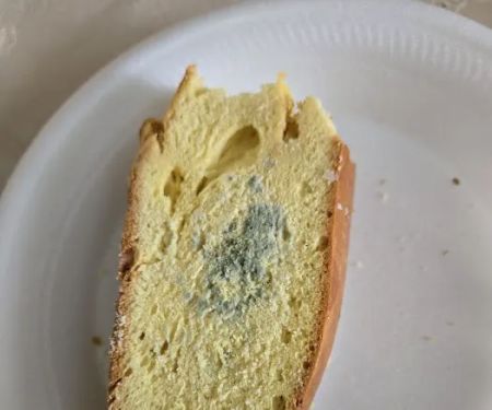 Leo Bakery