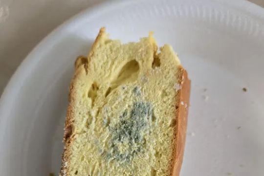 Leo Bakery