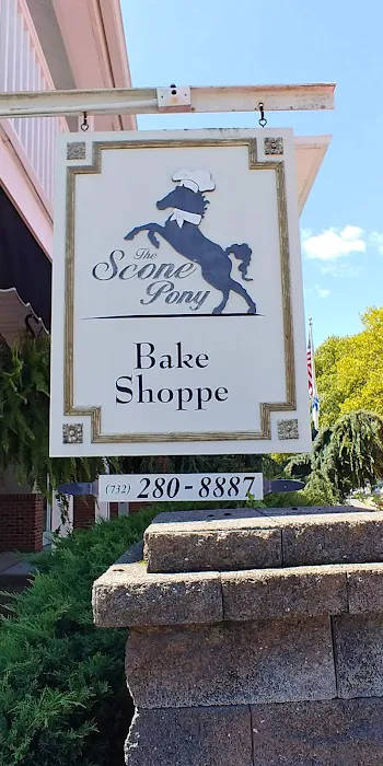 Scone Pony Picture 2