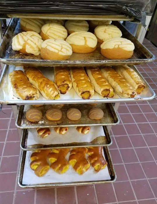 Panadera cruz Picture 10