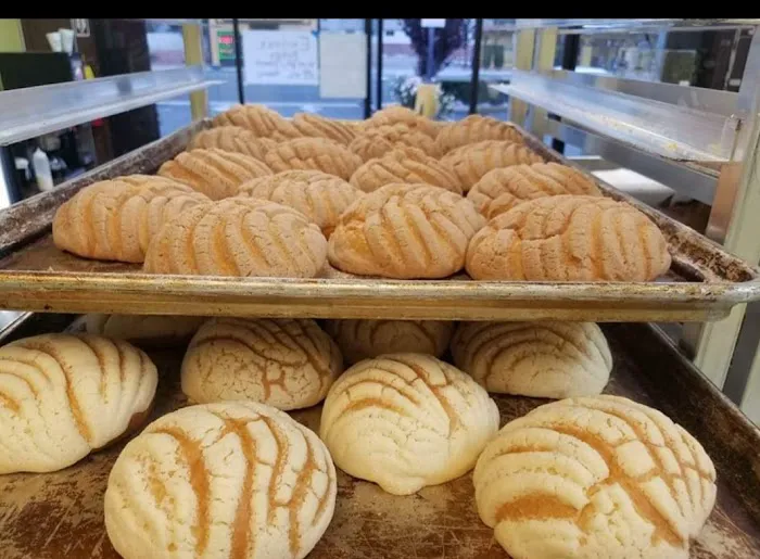 Panadera cruz Picture 8