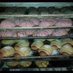 Panadera cruz