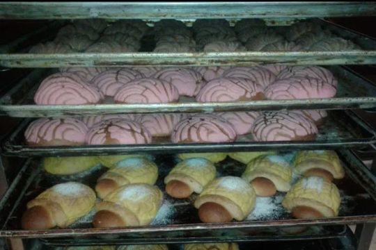 Panadera cruz