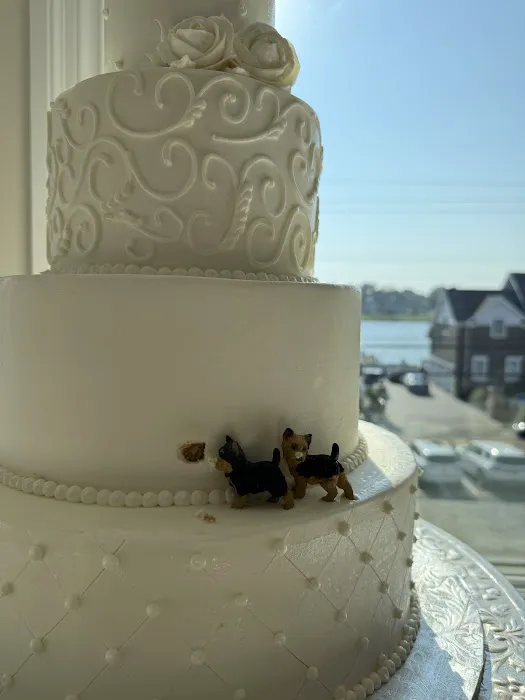 Chocolate Carousel Picture 9