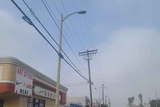 Popular Donuts