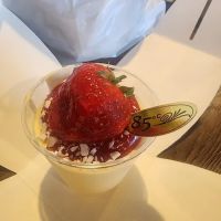 85C Bakery Cafe - South Gate ico