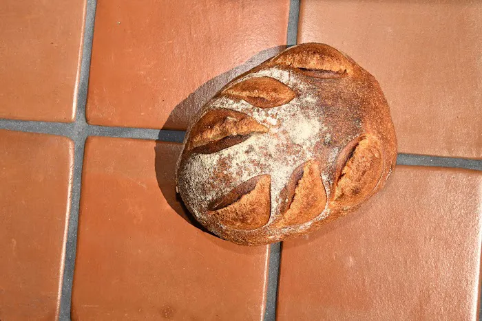 Gusto Bread Picture 5