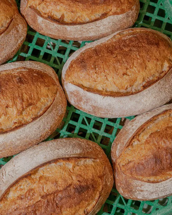 Jyan Isaac Bread Picture 10