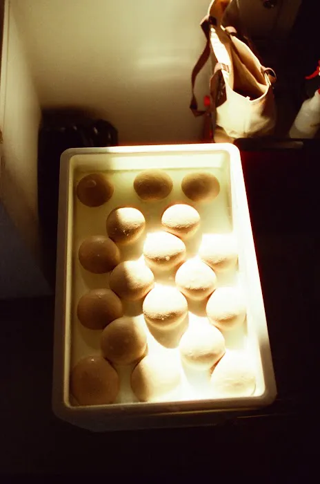 Mustard's Bagels Pop-up Picture 2