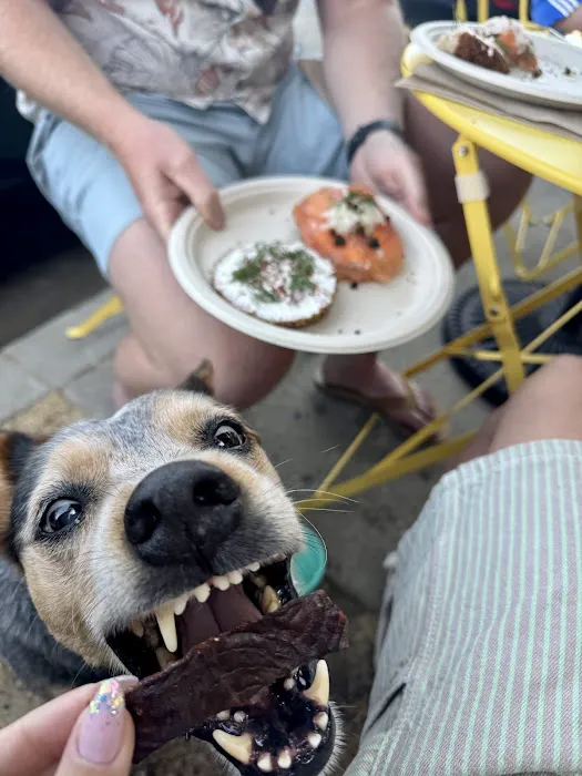 Mustard's Bagels Picture 6