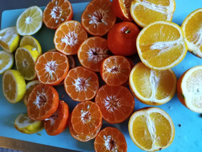 Foraged Food Picture 10