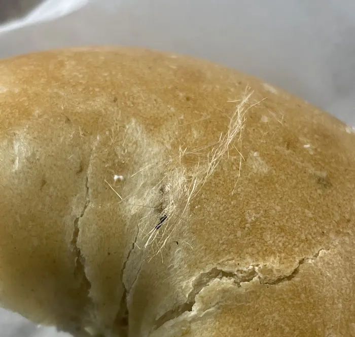 Bonjour Bagel Cafe Picture 5