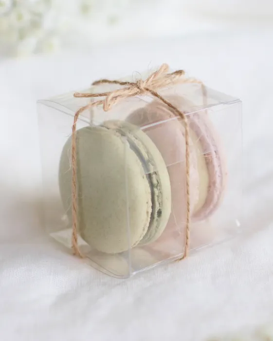 Nature Macarons Picture 5
