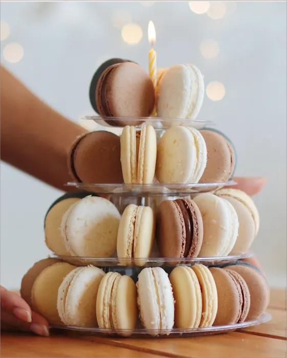 Nature Macarons Picture 2