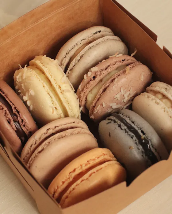 Nature Macarons Picture 1