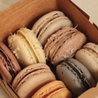 Nature Macarons ico