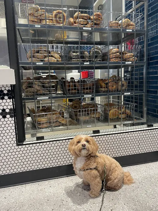 H&H Bagels Picture 2