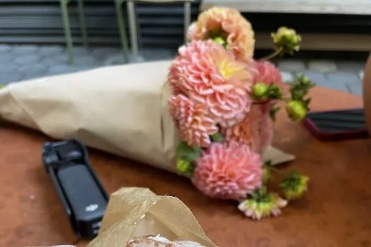 NYLETTA FRENCH CRULLERS