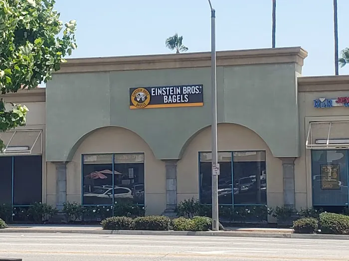 Einstein Bros. Bagels Picture 1