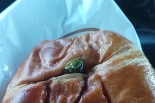 All Star Donuts