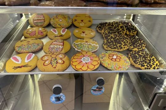 El Gallo Giro Bakery - Artimex