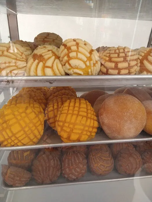 Del Campo Bakery Picture 4