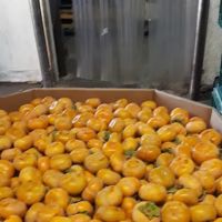 Concerto Bakery Hannam Chain ico
