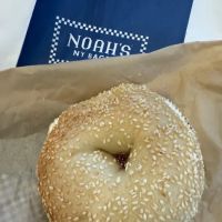 Noah's NY Bagels ico