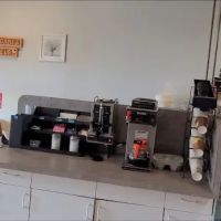 Terrigani's Bagels ico