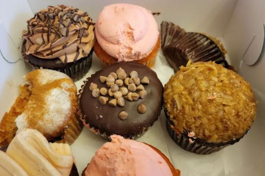 Mr. Cupcakes