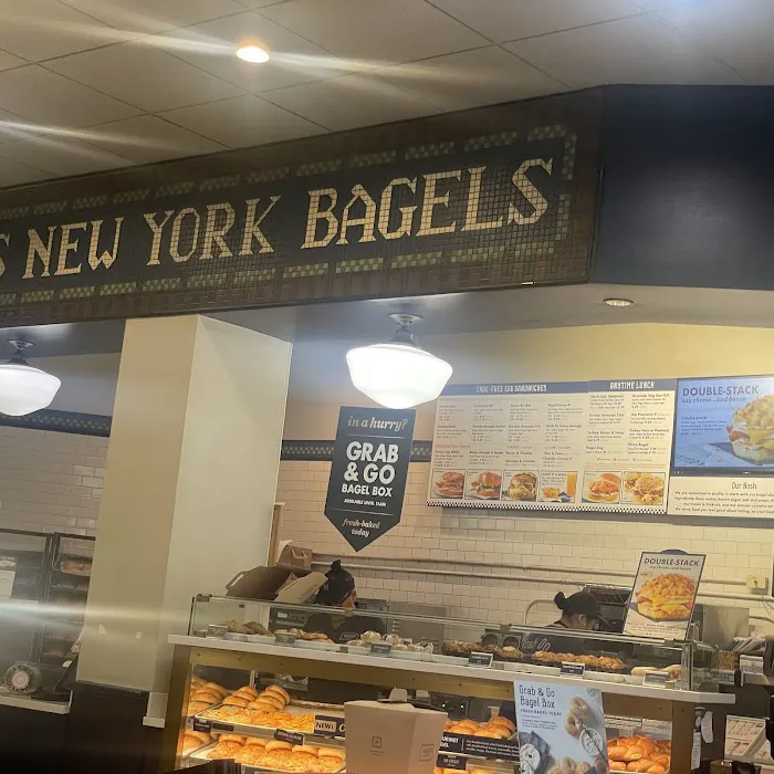 Noah's NY Bagels Picture 8