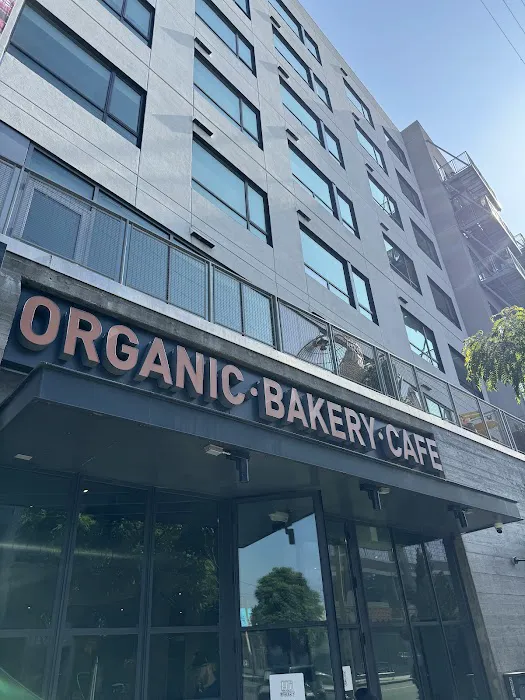 Hi Bakery (Healthy Indulgence) Picture 6