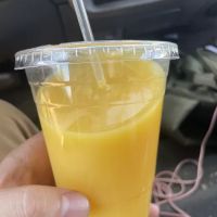 Silver Bay Bagels ico