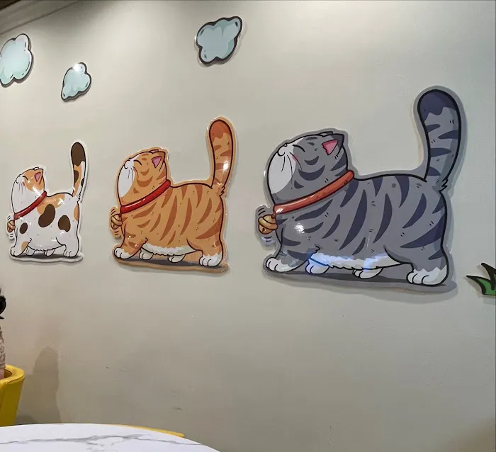 Momo Bakery Picture 1