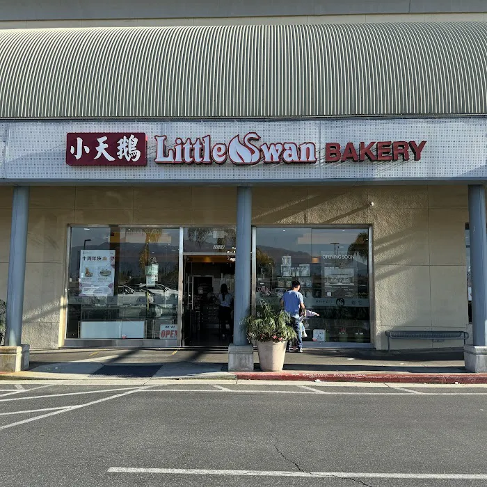 Little Swan Bakery Café Picture 9