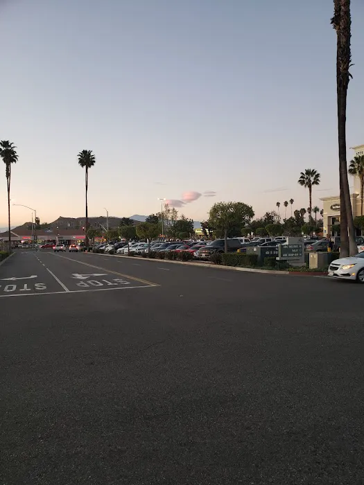 Magnolia Crescent Center Picture 2