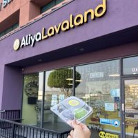 Aliya Lavaland ico