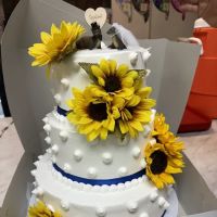 Carmen's Bakery ico