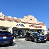 Donut King ico