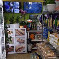 Miss Cafeteria Bakery ico