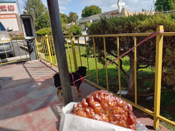 Olympic Donut Picture 9