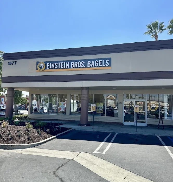 Einstein Bros. Bagels Picture 7
