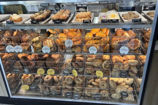 Einstein Bros. Bagels