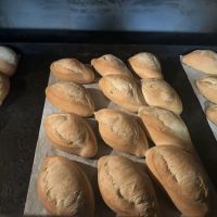 Estrella De Mexicali & EDM Catering ico