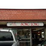 Song Long Inc