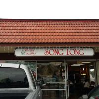 Song Long Inc ico