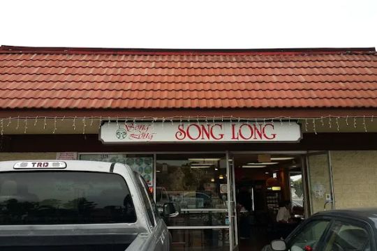 Song Long Inc