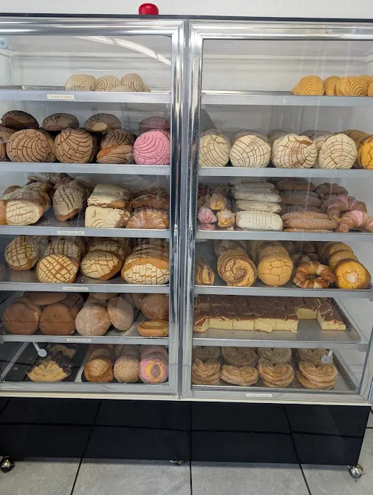 Holy Concha Bakery Picture 9