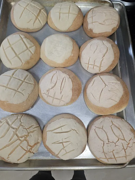 Conchas by Maribel Picture 7