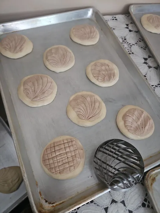 Conchas by Maribel Picture 3